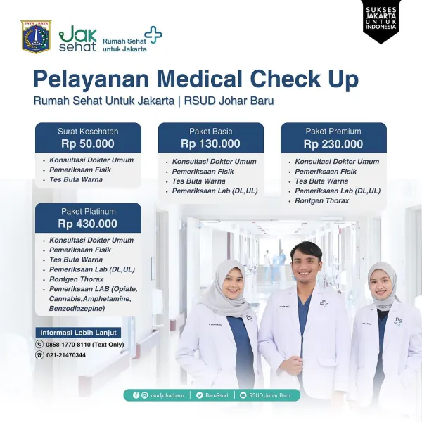 Infografis layanan informasi publik 2