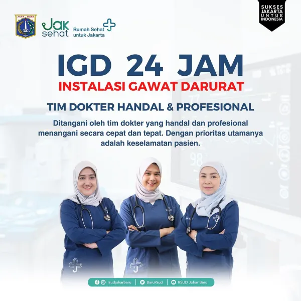 Infografis layanan informasi publik 3